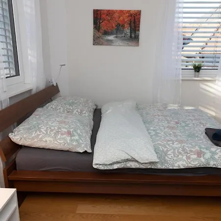 Apartment Hoelzlgasse Top 4 *